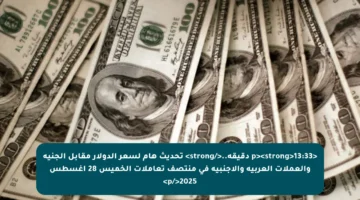 <p><strong>13:33 دقيقة..</strong> تحديث هام لسعر الدولار مقابل الجنيه والعملات العربية والأجنبية في منتصف تعاملات الخميس 28 أغسطس 2025</p>